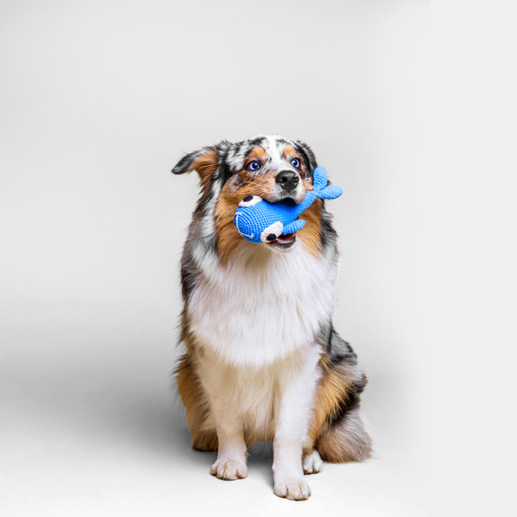 Crochet Toy Bazyl, The Whale