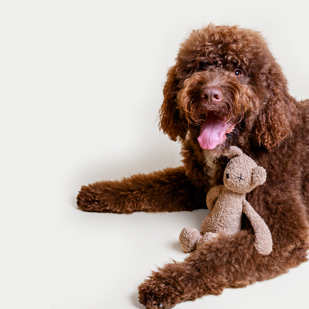 Plush Toy Berty, The Bear