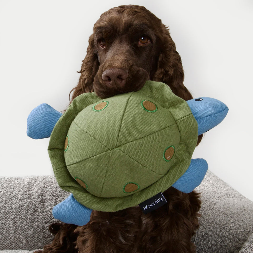 Plush Toy Kim, The Turtle