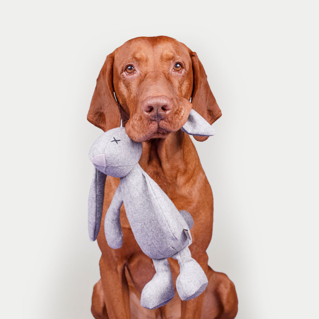 Plush Toy Rupert, The Rabbit