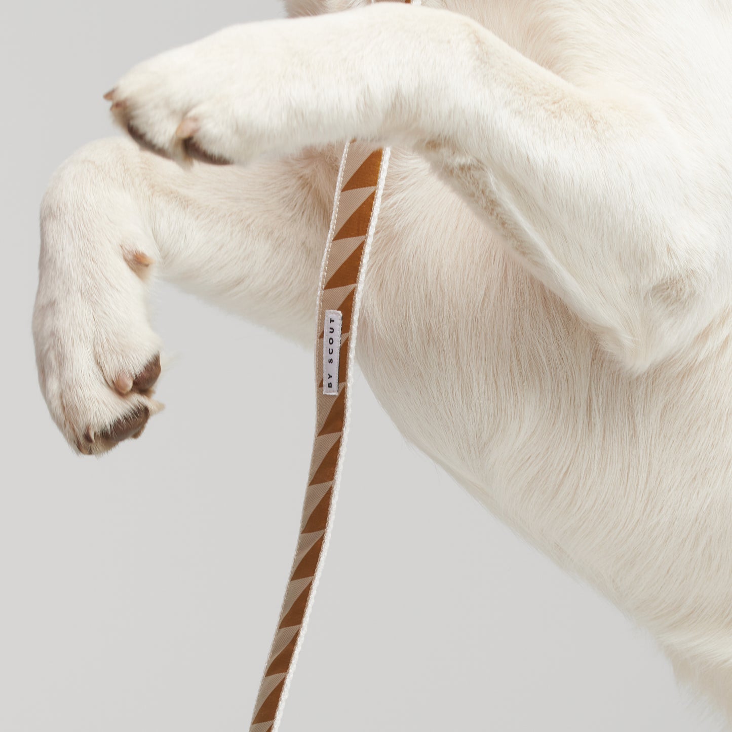 Nice Grill Adjustable Dog Leash