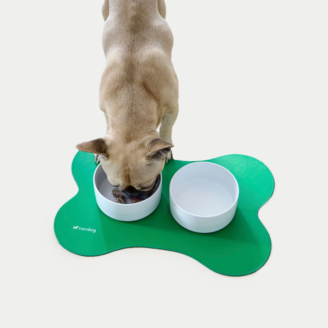 Placemat For Dog Bowl