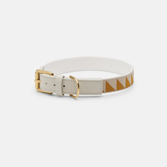 Nice Grill Dog Collar