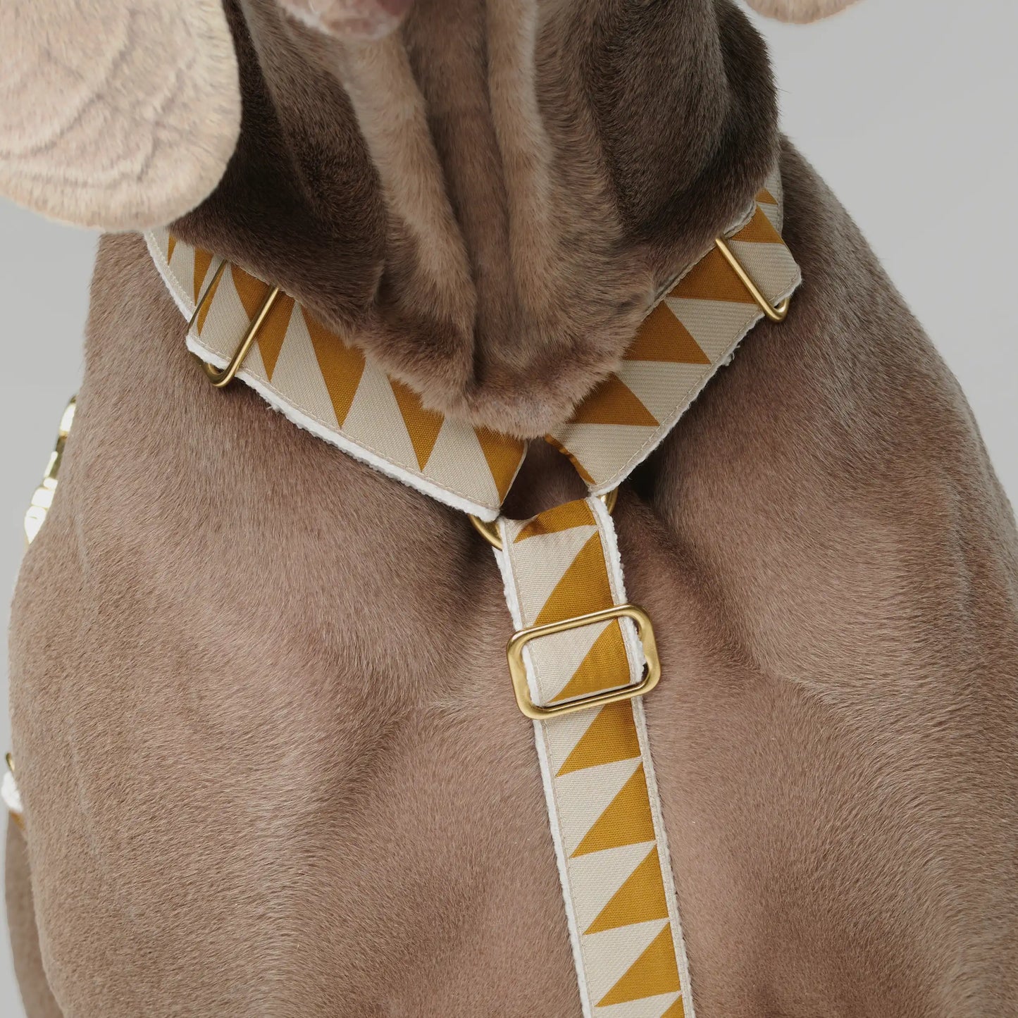 Nice Grill Dog Harness